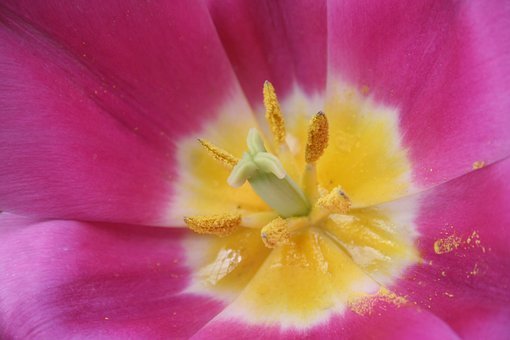 顯微鏡命題角度研究