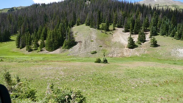 北京中考生體育過程性成績要公示 各項政策出臺