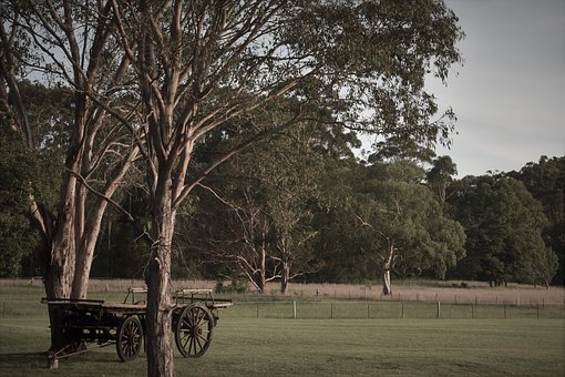 60%߿ԪƮI(y)W(xu) W(xu)ɚw(gu)^