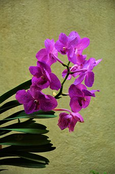 過來人心經:英語聽力提高有方法