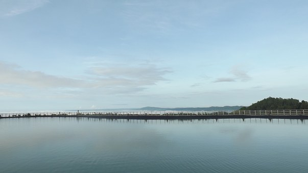 時評:取消中考未必符合學習規律