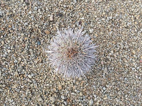 環境太吵想讓人閉嘴,這8條英語表達禮貌又地道