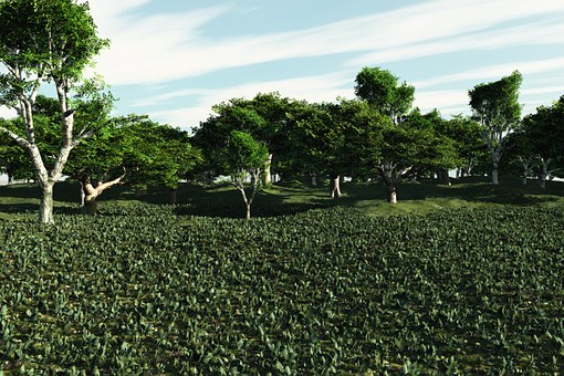 家長如何找合適的輔導老師