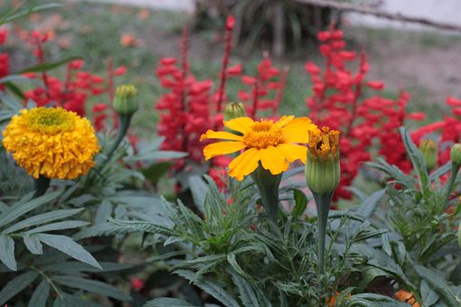 美國家長讓孩子在寒假愛上閱讀的小妙招(很實用)