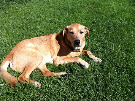 新生開學(xué):家長(zhǎng)身份要學(xué)會(huì)“轉(zhuǎn)型”