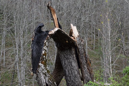 孩子叛逆期怎么管教最合適