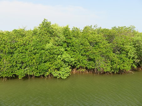 家長如何處理孩子受欺負的問題