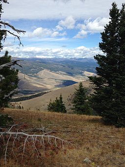 學習小提琴的好處