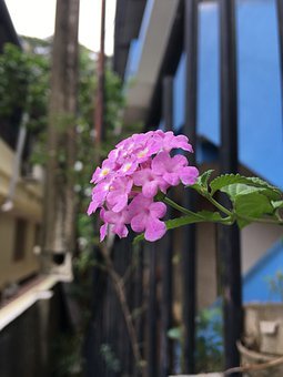 培養(yǎng)注意力不集中的孩子的方法