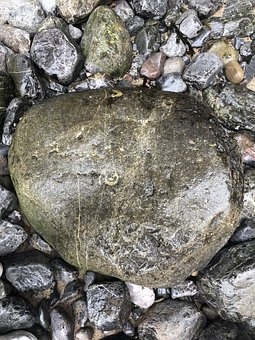 三年級孩子就是不寫作業怎么辦