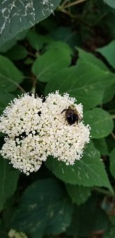 孩子愛說謊?只因父母教育不當