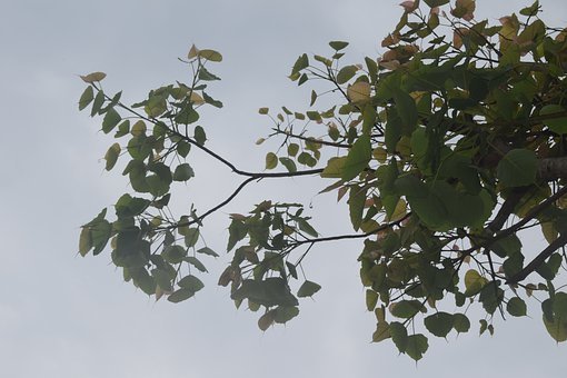 如何讓孩子在“刺激”中變得聰明?