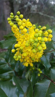 厭學是心理問題嗎
