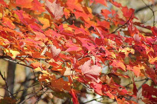 孩子打罵父母家長怎么辦