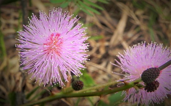 10歲男孩厭學怎么辦