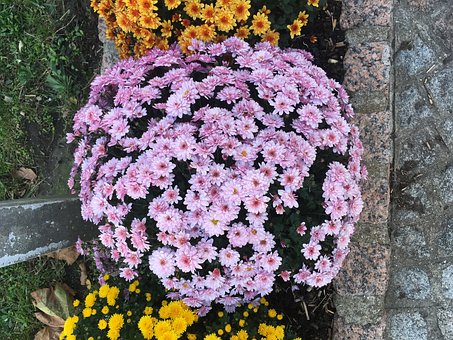 掌握3-5歲孩子的數數規律 快速教會孩子數數