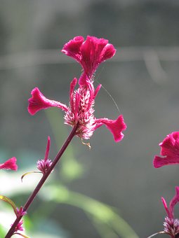 孩子為什么缺乏安全感