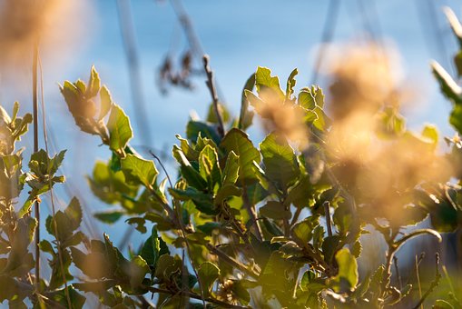 對于心智晚熟的孩子,家長應該如何應對?