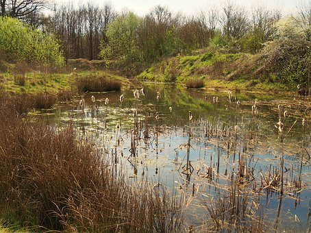 高考體育特長生將再減五項(xiàng)