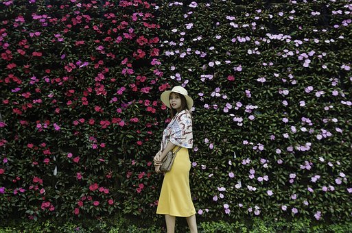 ���L�n�ã����u���ӵİ˴���