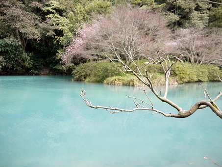 如何培養(yǎng)孩子學(xué)習(xí)時(shí)的專注力