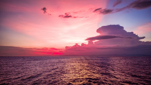 名師指點:中考生各科提分策略