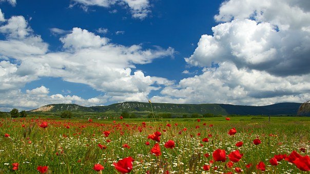 只有中小學(xué)生才需要家教嗎?