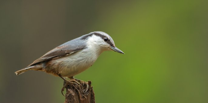 ڵк֙Côk