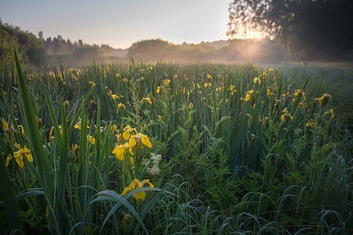 孩子倔強不肯認錯怎么辦