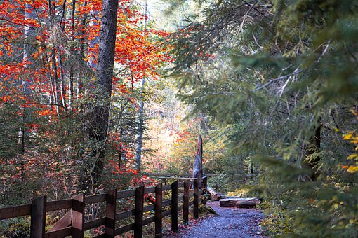 心理懲罰對孩子的傷害更大