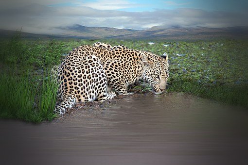 高三家長學會平行交談 與孩子溝通的8個要訣