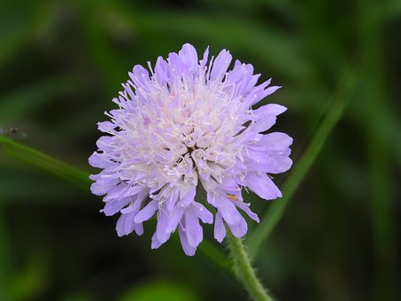 美國(guó)的家長(zhǎng)如何教育孩子