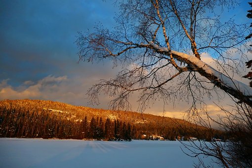 這些壞習(xí)慣作為父母必須改掉