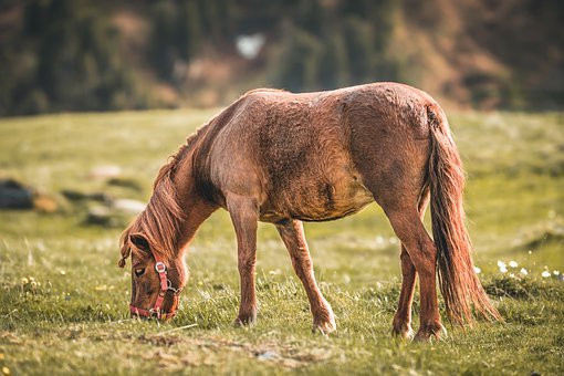 孩子成績下降要怎么跟老師交流