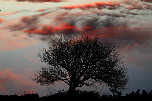 幼兒美術教育有何作用?