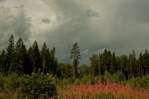 用不用要求家長檢查作業?專家稱家校合作有益