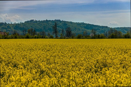 �赸�W(xu��)Ժ�������f�� ����һ��(g��)����Ƽ�ж��y