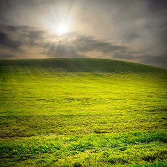 解析:“211工程”大學不一定都在一批本科錄取