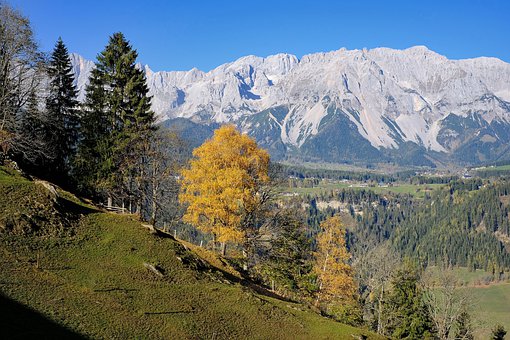 孩子總是偷偷玩手機(jī)怎么辦