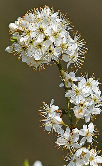 孩子上網(wǎng)易家長需要以身作則