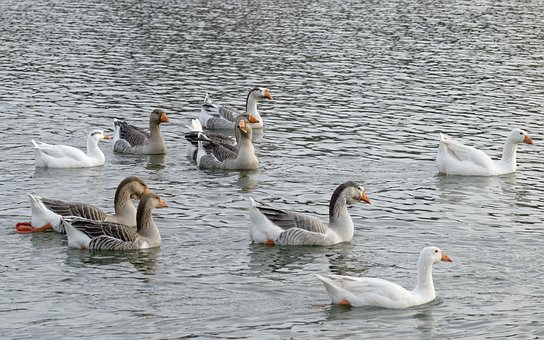 孩子懶惰最根本的原因