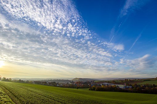 大學畢業生樂當貼膜哥一星期可賺2000元