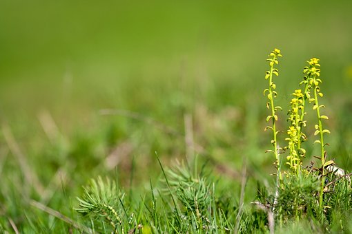如何讓孩子看電影學英語