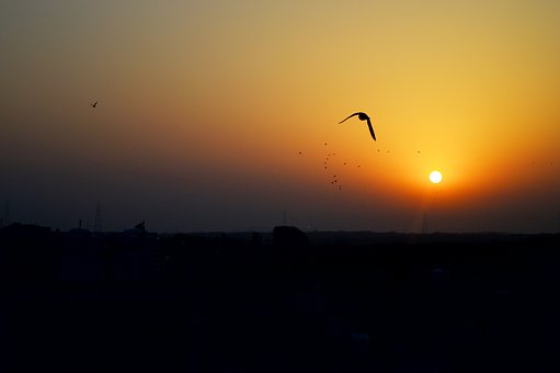 如何培養膽小懦弱的孩子的自信和開朗性格