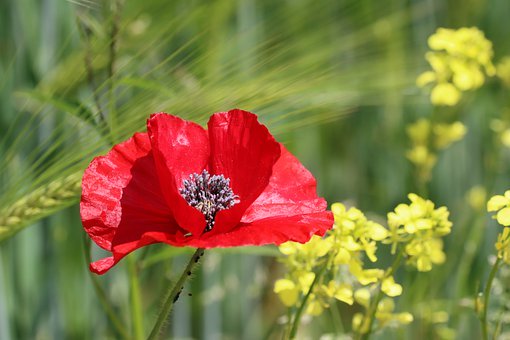 Ո(qng)ҽмL(zhng)ԓôͼҽώ໥ϣ