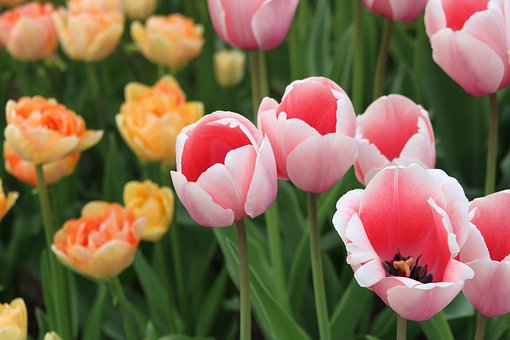 考生緩解考試焦慮的兩個小方法