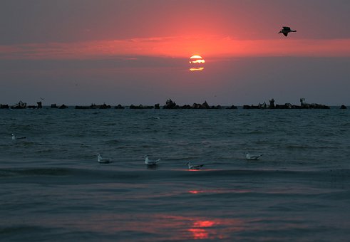 讓BB學會朗讀,家長可用六個方法