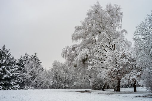 我的高考數學經驗分享