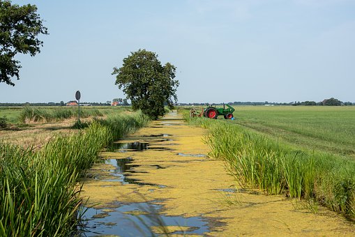 12歲男孩不聽話該怎么管教