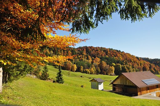 家長成“啃小族”讓孩子很受傷